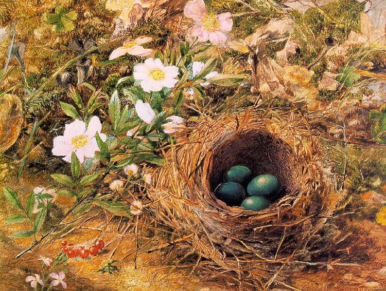 Hill, John William Bird's Nest and Dogroses oil painting picture